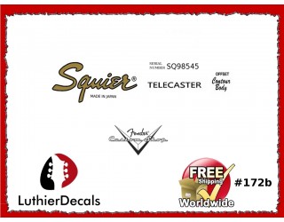  Squier Telecaster Guitar Decal #172b